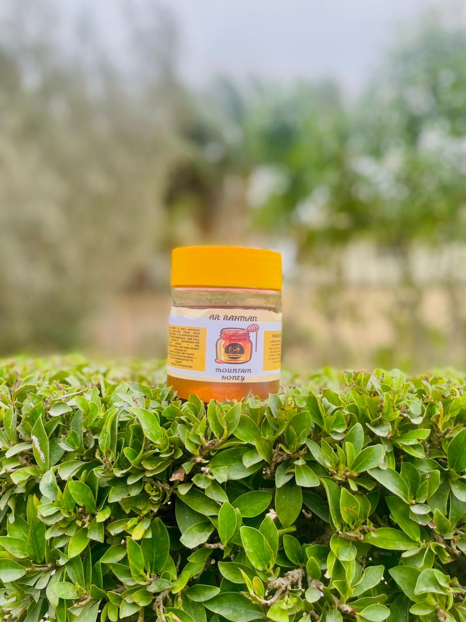 AR Rahman Naturals Mountain Honey